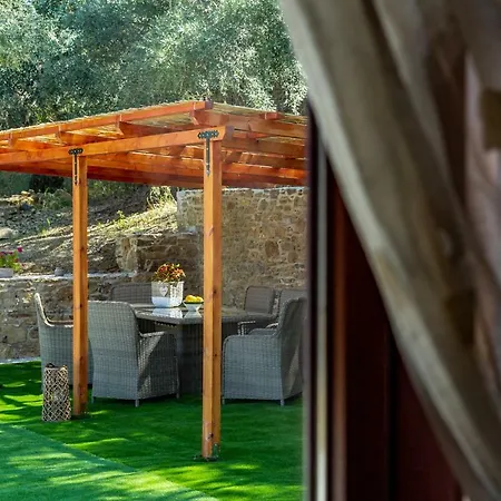 Olive Grove