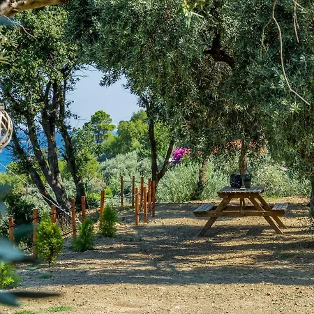 Lägenhet Olive Grove *