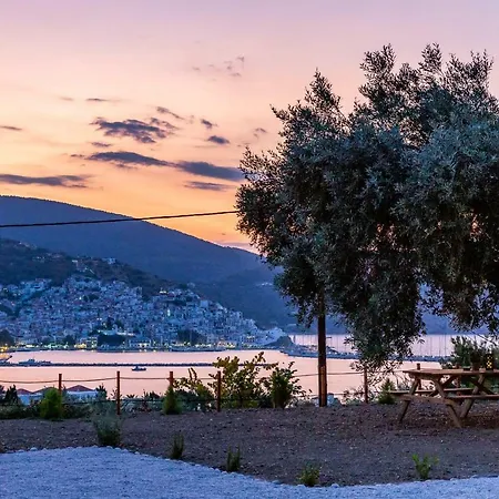 Olive Grove Skopelos stad