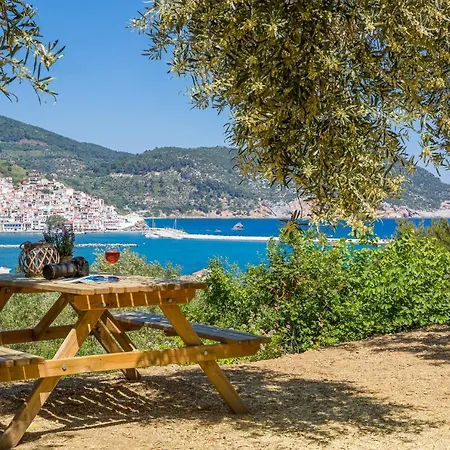 Διαμέρισμα Olive Grove