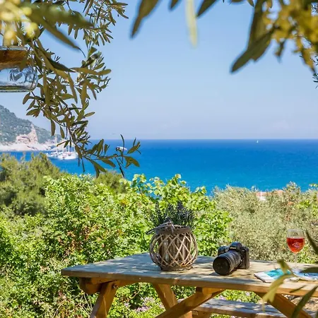 Olive Grove * Σκόπελος