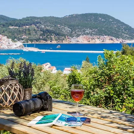 Olive Grove Skopelos