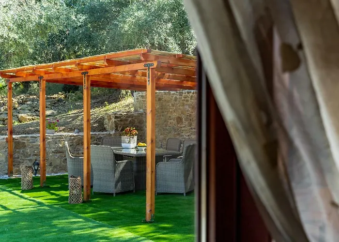 Olive Grove