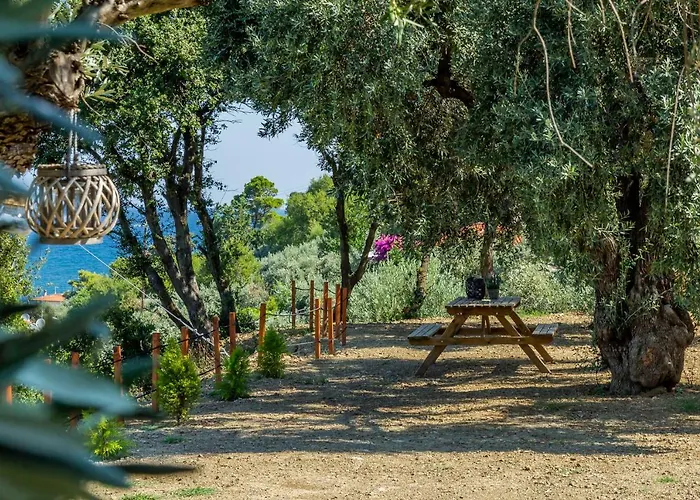 Apartamento Olive Grove *