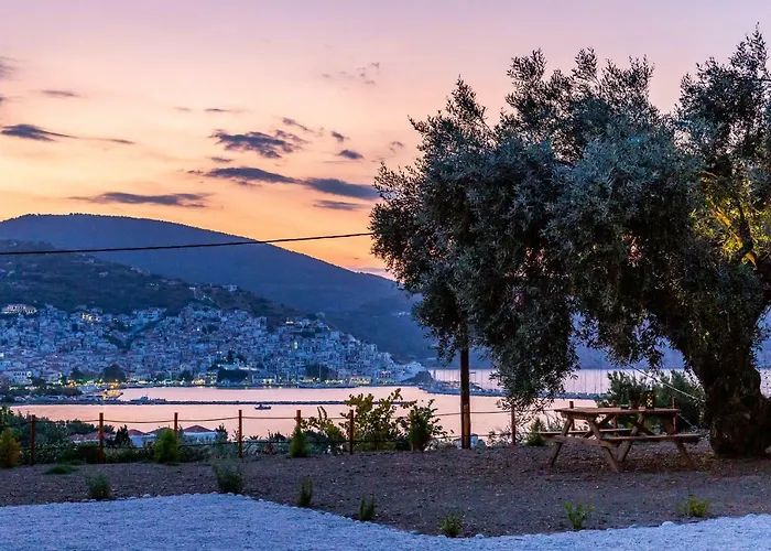 Olive Grove Skopelos