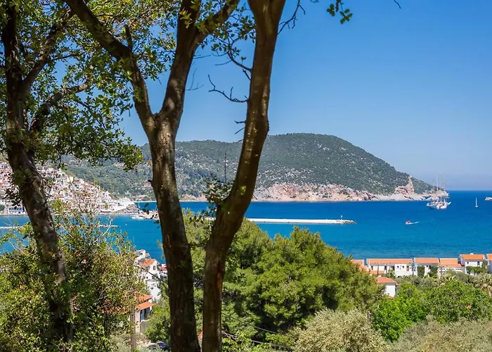 Apartamento Olive Grove *