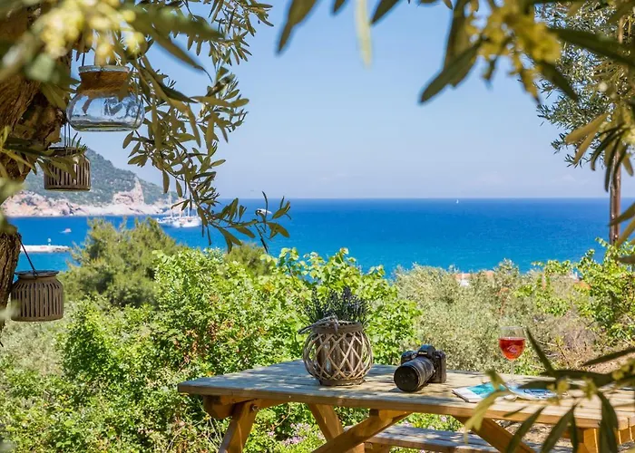 Olive Grove * Skopelos Town