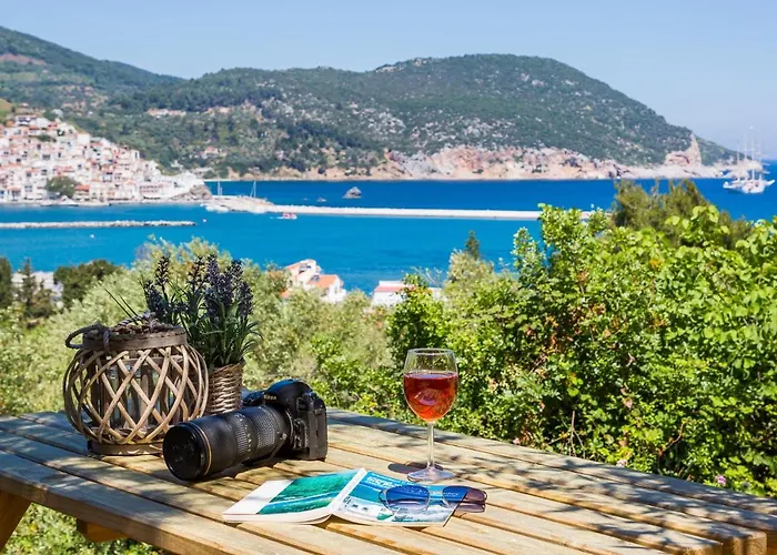 Olive Grove Skopelos Town