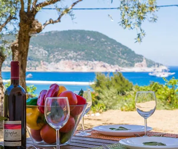 Apartamento Olive Grove *